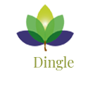 The Dingle Primary School